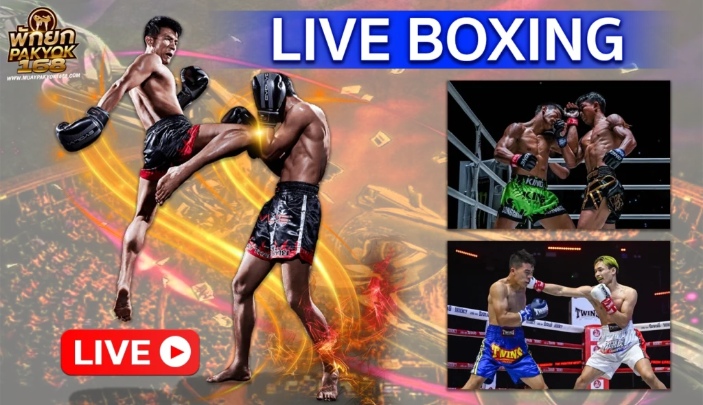 มวยพักยก 24