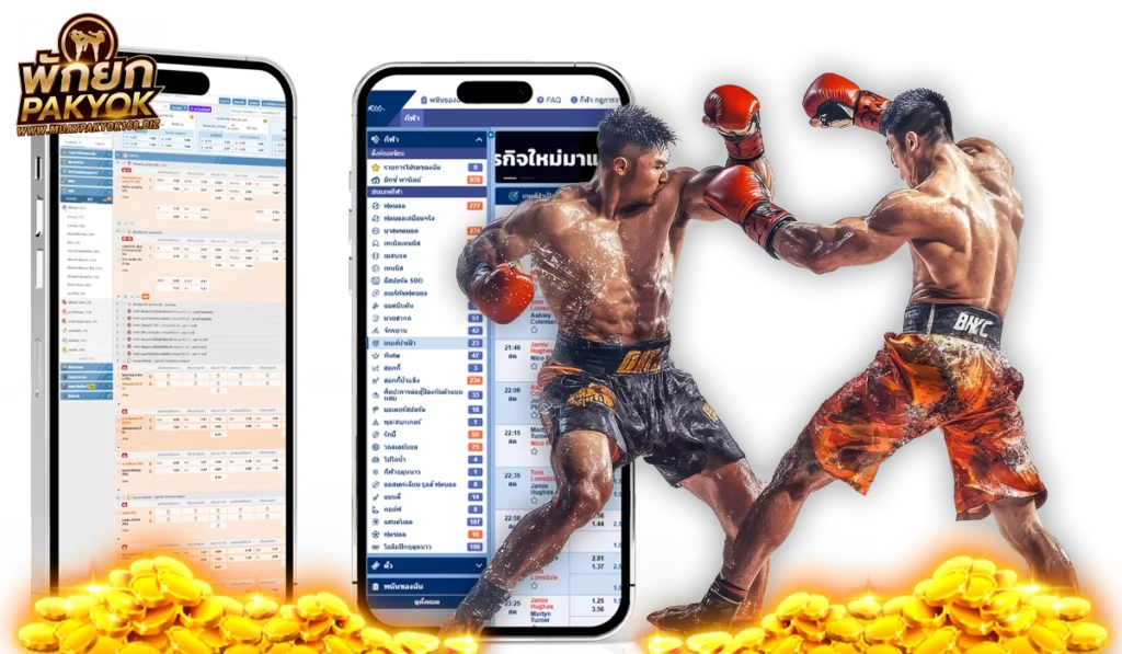 ดูมวยสดวันนี้